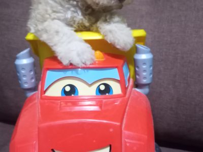 French Poodle Toy